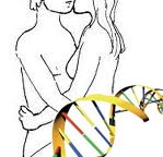 sex-genetic